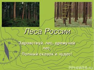 Леса России Здравствуй, лес, дремучий лес, Полный сказок и чудес!