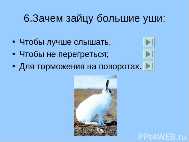 6.Зачем зайцу большие уши: Чтобы лучше слышать, Чтобы не перегреться; Для торможения на поворотах.