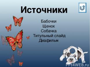 Бабочки Щенок Собачка Титульный слайд Диафильм Источники