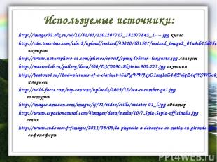 Используемые источники: http://images02.olx.ru/ui/11/81/43/1301207717_181377843_