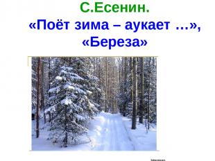 С.Есенин. «Поёт зима – аукает …», «Береза»