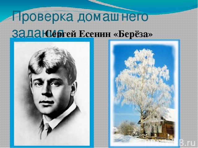 Проверка домашнего задания Сергей Есенин «Берёза»