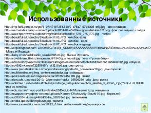 Использованные источники http://img-fotki.yandex.ru/get/6107/47407354.58c/0_c75a