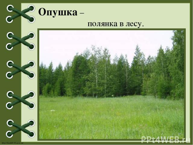 Опушка – полянка в лесу. http://linda6035.ucoz.ru/