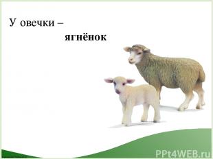 У овечки – ягнёнок FokinaLida.75@mail.ru