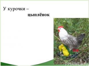 У курочки – цыплёнок FokinaLida.75@mail.ru