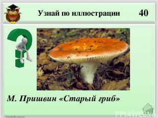 40 М. Пришвин «Старый гриб» Узнай по иллюстрации