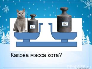 3кг 10кг Какова масса кота? corowina.ucoz.com