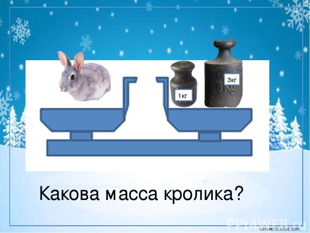 1кг 3кг Какова масса кролика? corowina.ucoz.com