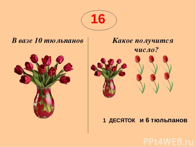16 В вазе 10 тюльпанов Какое получится число? 1 ДЕСЯТОК и 6 тюльпанов