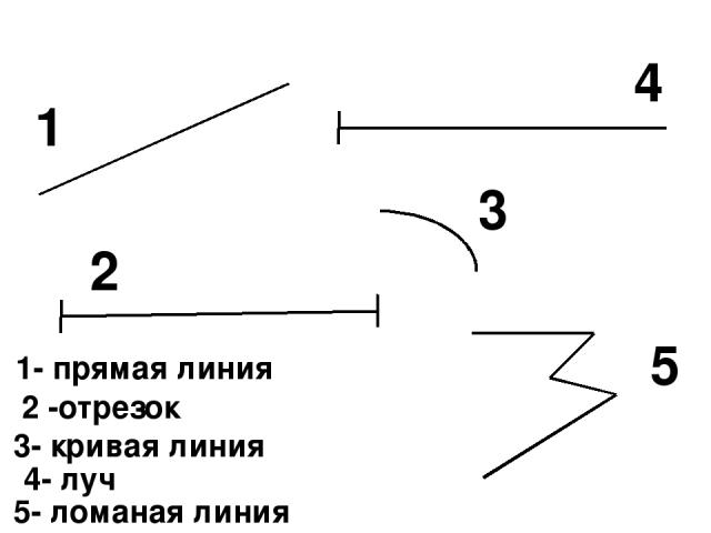1 2 3 4 5 1- прямая линия 2 -отрезок 3- кривая линия 4- луч 5- ломаная линия