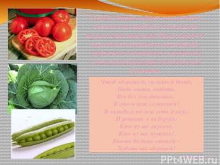 Сырые овощи и фрукты по праву считаются наиболее полезными продуктами питания. О