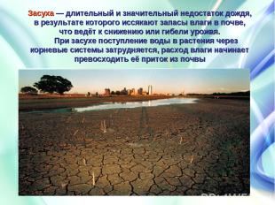 Засуха — длительный и значительный недостаток дождя, в результате которого иссяк