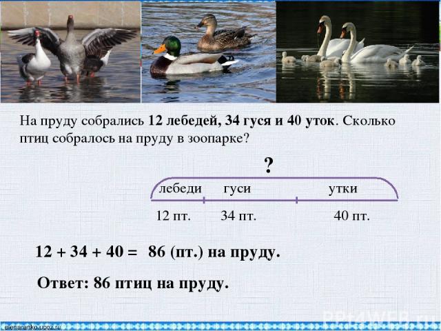 На пруду собрались 12 лебедей, 34 гуся и 40 уток. Сколько птиц собралось на пруду в зоопарке? лебеди гуси утки 12 пт. 34 пт. 40 пт. 12 + 34 + 40 = 86 (пт.) на пруду. Ответ: 86 птиц на пруду. ?