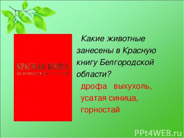 Какие животные занесены в Красную книгу Белгородской области? дрофа выхухоль, усатая синица, горностай