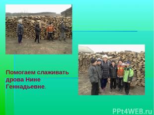 Помогаем слаживать дрова Нине Геннадьевне.