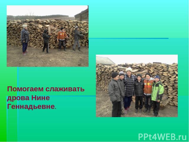 Помогаем слаживать дрова Нине Геннадьевне.
