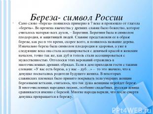 Береза- символ России Само слово «береза» появилось примерно в 7 веке и произошл