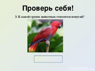 Проверь себя! 3. К какой группе животных относится попугай? Птицы