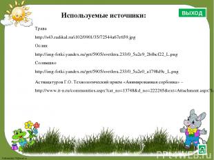 Используемые источники: Трава http://s43.radikal.ru/i102/0901/35/72544a67e659.jp