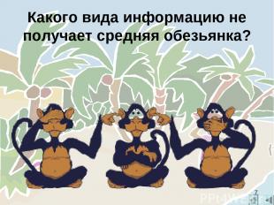 Какого вида информацию не получает средняя обезьянка? *