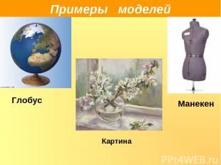 Примеры моделей Глобус Манекен Картина