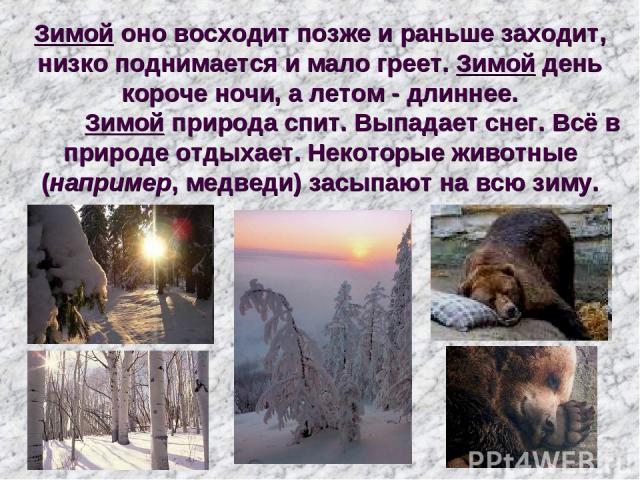 Зимой оно восходит позже и раньше заходит, низко поднимается и мало греет. Зимой день короче ночи, а летом - длиннее. Зимой природа спит. Выпадает снег. Всё в природе отдыхает. Некоторые животные (например, медведи) засыпают на всю зиму.