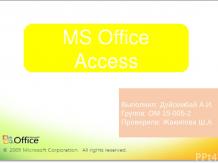 MS Office Access