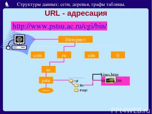 URL - адресация http://www.pstsu.ac.ru/cgi/bin/ Интернет com ru edu fr ac pstu w