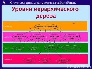 Уровни иерархического дерева 4 уровень 3 уровень 2 уровень 1 уровень Структуры д