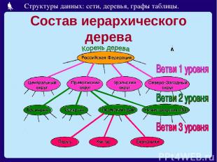 Состав иерархического дерева Структуры данных: сети, деревья, графы таблицы.