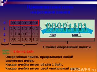 Принципиальная схема оперативной памяти 0 1 2 3 Адрес байта 8 бит=1 байт 1 ячейк