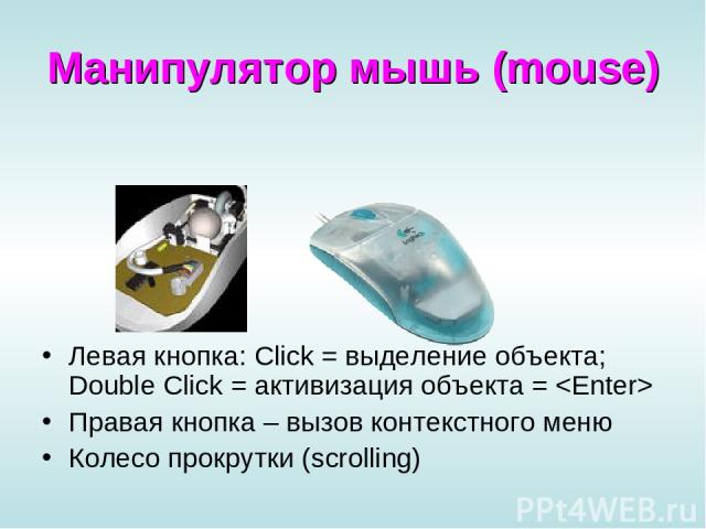 Манипулятор мышь (mouse) Левая кнопка: Click = выделение объекта; Double Click = активизация объекта = Правая кнопка – вызов контекстного меню Колесо прокрутки (scrolling)