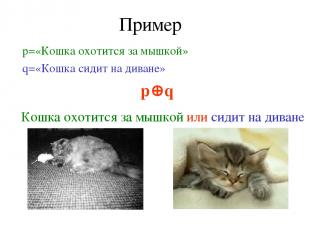 Пример р=«Кошка охотится за мышкой» q=«Кошка сидит на диване» p q Кошка охотится