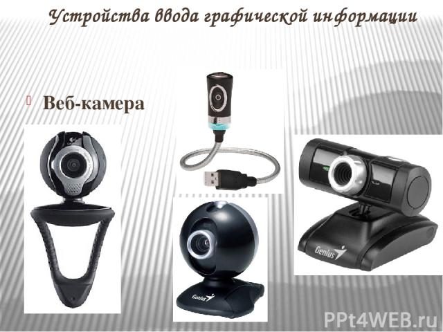 Веб-камера Устройства ввода графической информации