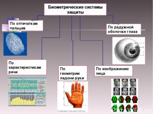 Биометрические системы защиты По отпечаткам пальцев По характеристикам речи По г
