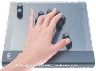 Воробьёва Елена Юрьевна Клавиатура с программируемыми клавишами