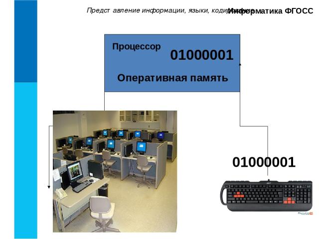 Представление информации, языки, кодирование. Информатика ФГОСС 01000001 Оперативная память 01000001 Процессор