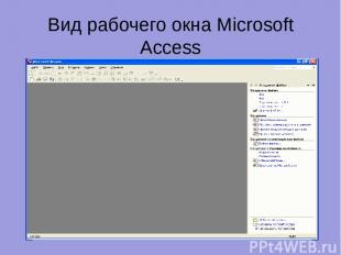 Вид рабочего окна Microsoft Access