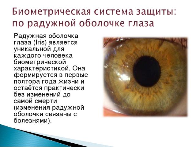 Радужная оболочка глаза (Iris) является уникальной для каждого человека биометрической характеристикой. Она формируется в первые полтора года жизни и остаётся практически без изменений до самой смерти (изменения радужной оболочки связаны с болезнями).