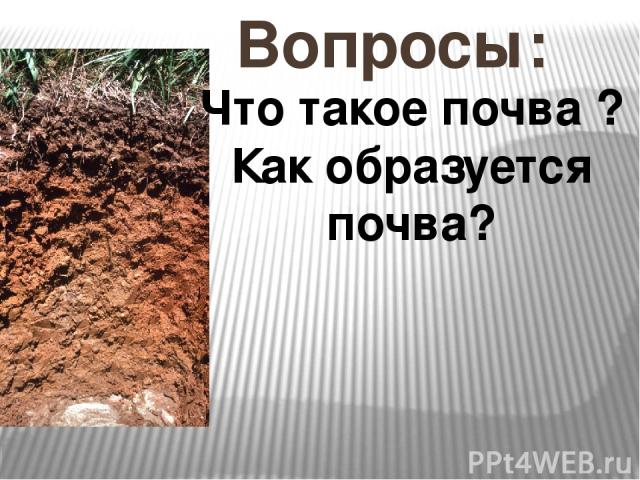 Вопросы: Что такое почва ? Как образуется почва?