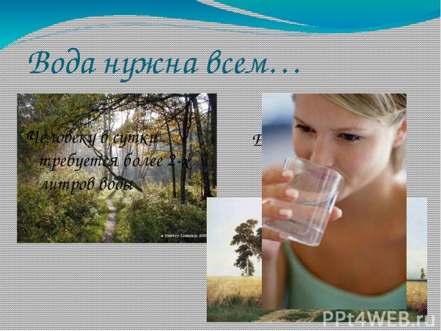 Вода нужна всем… Ее пьют поля и леса Человеку в сутки требуется более 2-х литров воды
