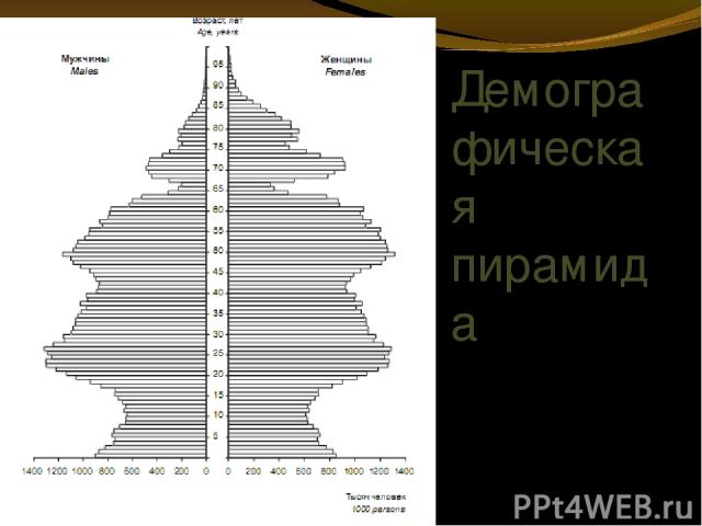 Демографическая пирамида