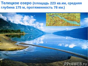 Телецкое озеро (площадь 223 кв.км, средняя глубина 175 м, протяженность 78 км.)