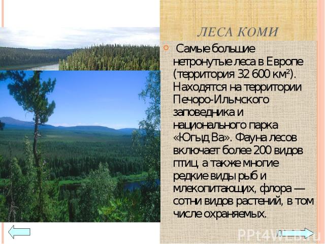 ЛЕСА КОМИ Самые большие нетронутые леса в Европе (территория 32 600 км²). Находятся на территории Печоро-Илычского заповедника и национального парка «Югыд Ва». Фауна лесов включает более 200 видов птиц, а также многие редкие виды рыб и млекопитающих…