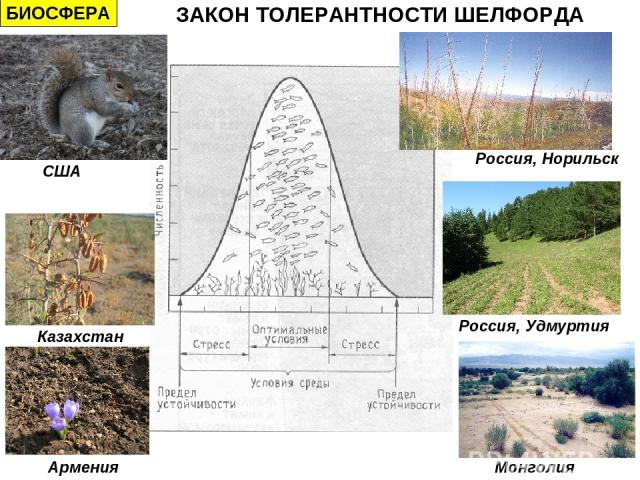 ЗАКОН ТОЛЕРАНТНОСТИ ШЕЛФОРДА БИОСФЕРА США Казахстан Армения Россия, Норильск Россия, Удмуртия Монголия