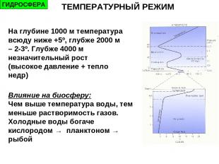 На глубине 1000 м температура всюду ниже +5º, глубже 2000 м – 2-3º. Глубже 4000