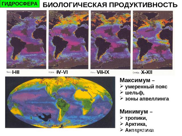 ГИДРОСФЕРА БИОЛОГИЧЕСКАЯ ПРОДУКТИВНОСТЬ I-III IV-VI VII-IX X-XII Максимум – умеренный пояс шельф, зоны апвеллинга Минимум – тропики, Арктика, Антарктика