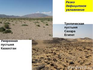 Тропическая пустыня Сахара Египет Умеренная пустыня Казахстан Резко дефицитное у