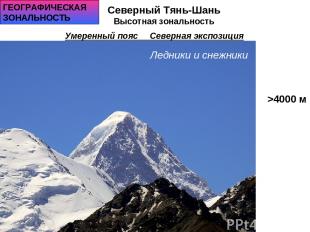 Ледники и снежники >4000 м Северный Тянь-Шань Высотная зональность Умеренный поя